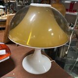 Tulip lamp