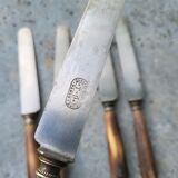 Series of 5 knives steel horn handle