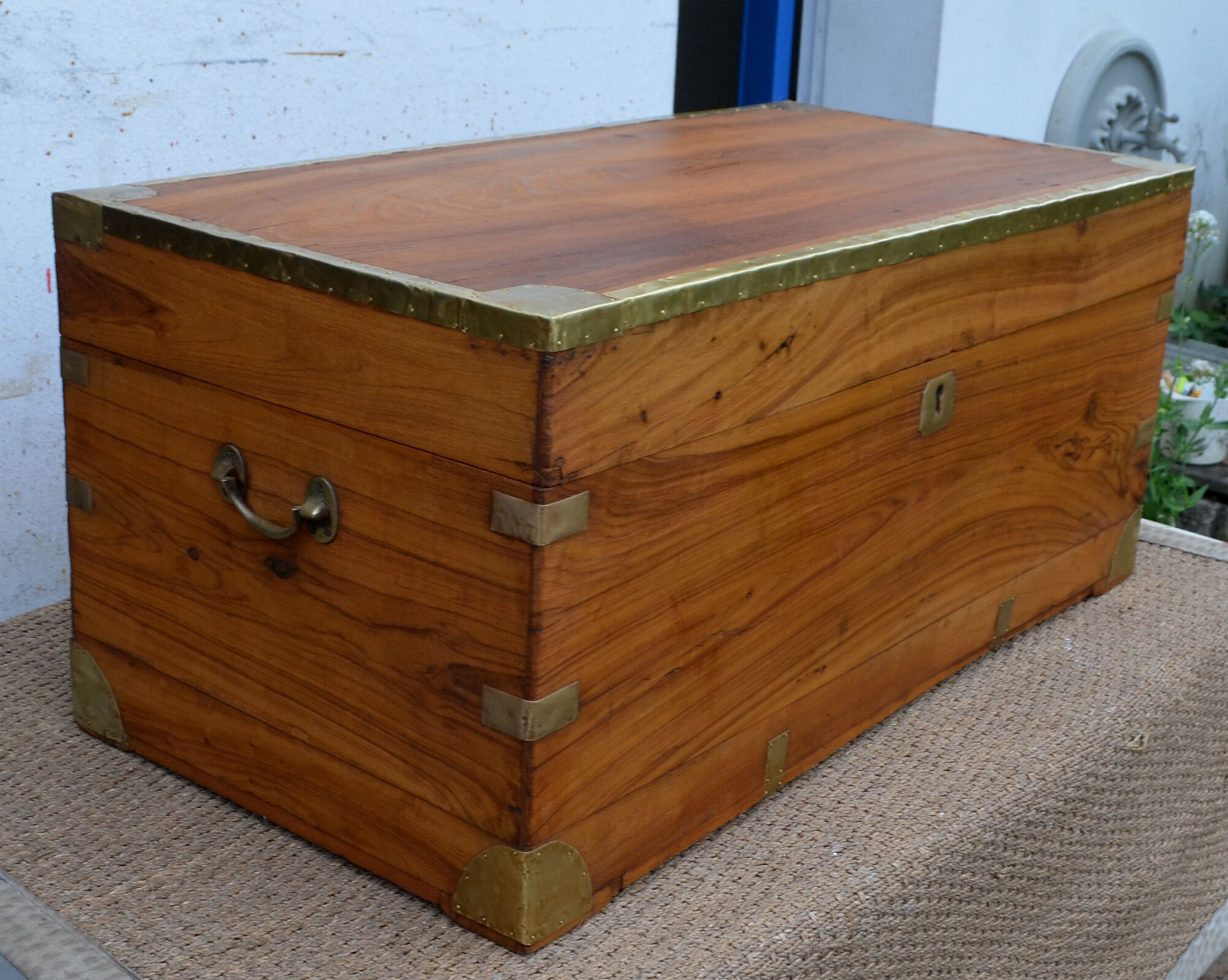 Chest in camphor tree