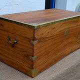 Chest in camphor tree