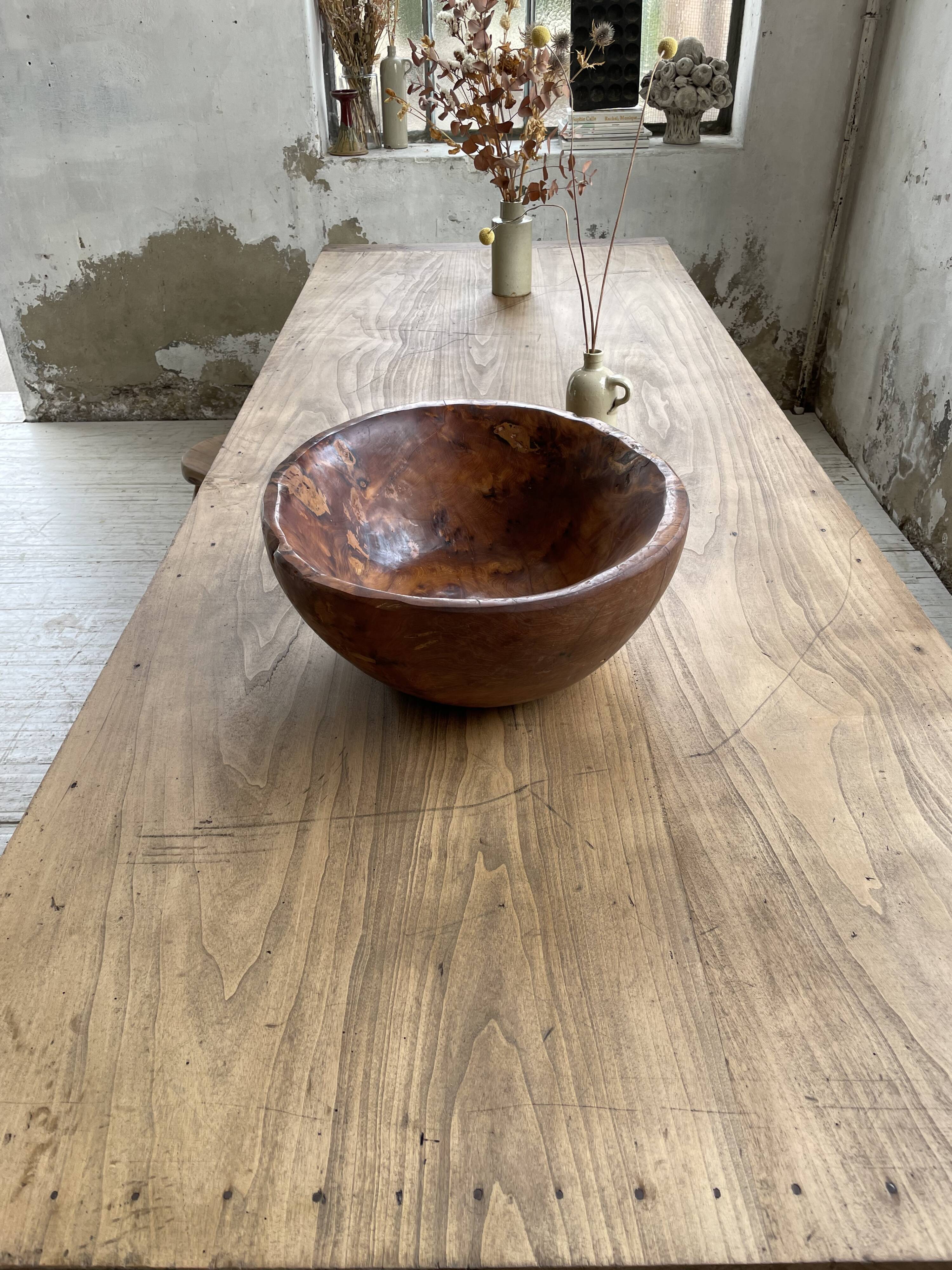 XL thuja root wooden dish