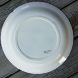 Plat creux salins Charbonnier