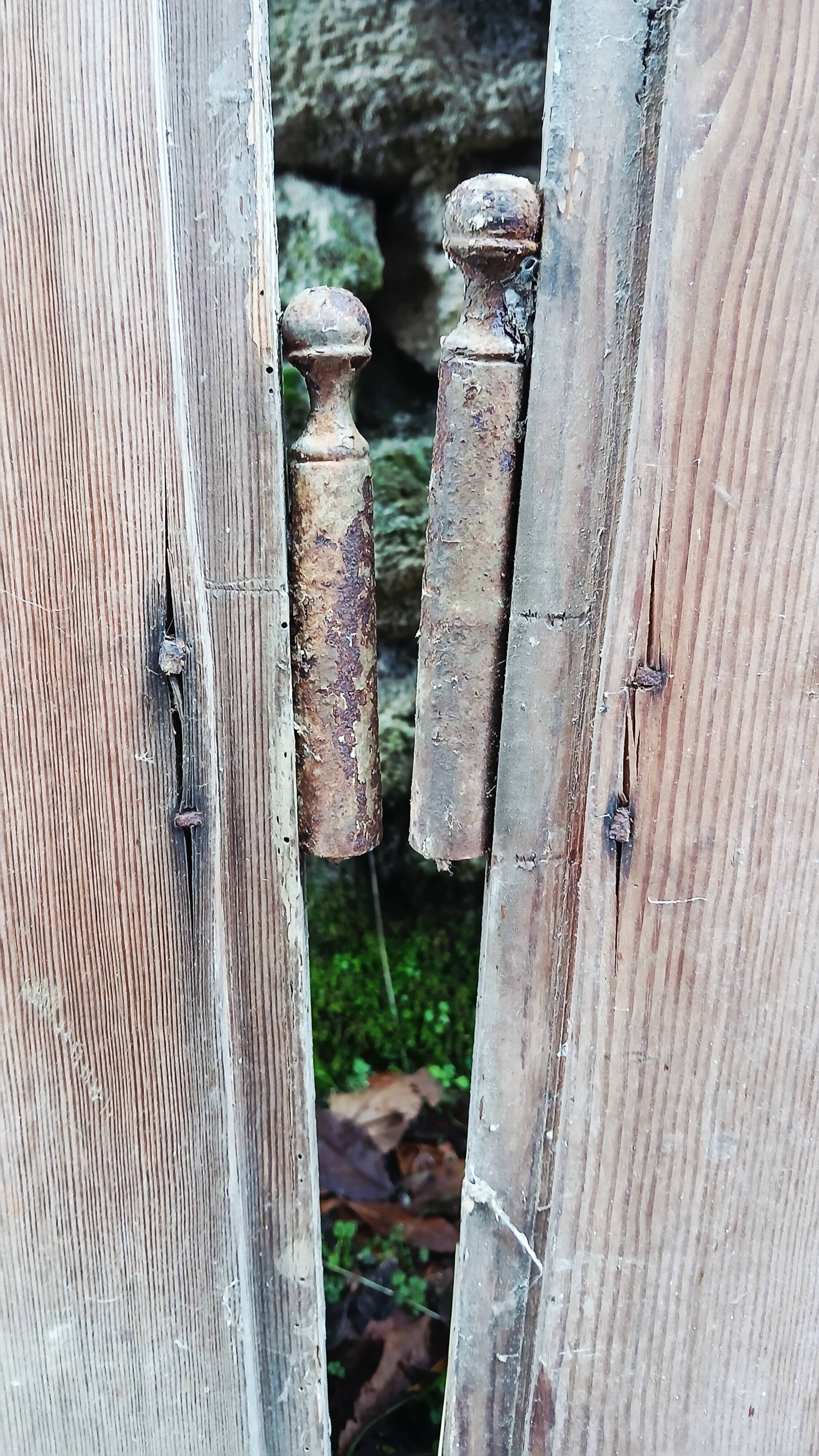 Pair of old cupboard doors