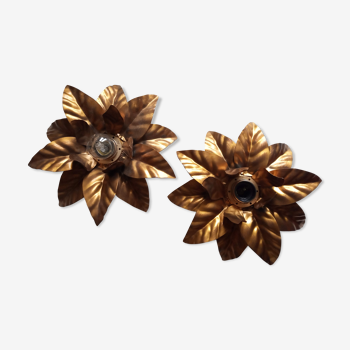 Pair of flower sconces, gilded