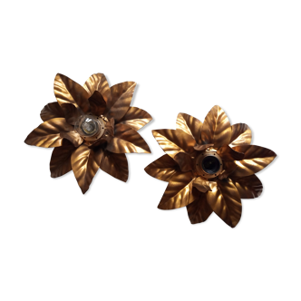 Pair of flower sconces, gilded