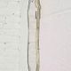 Free-form 60s screen-printed rearview mirror on gold frame