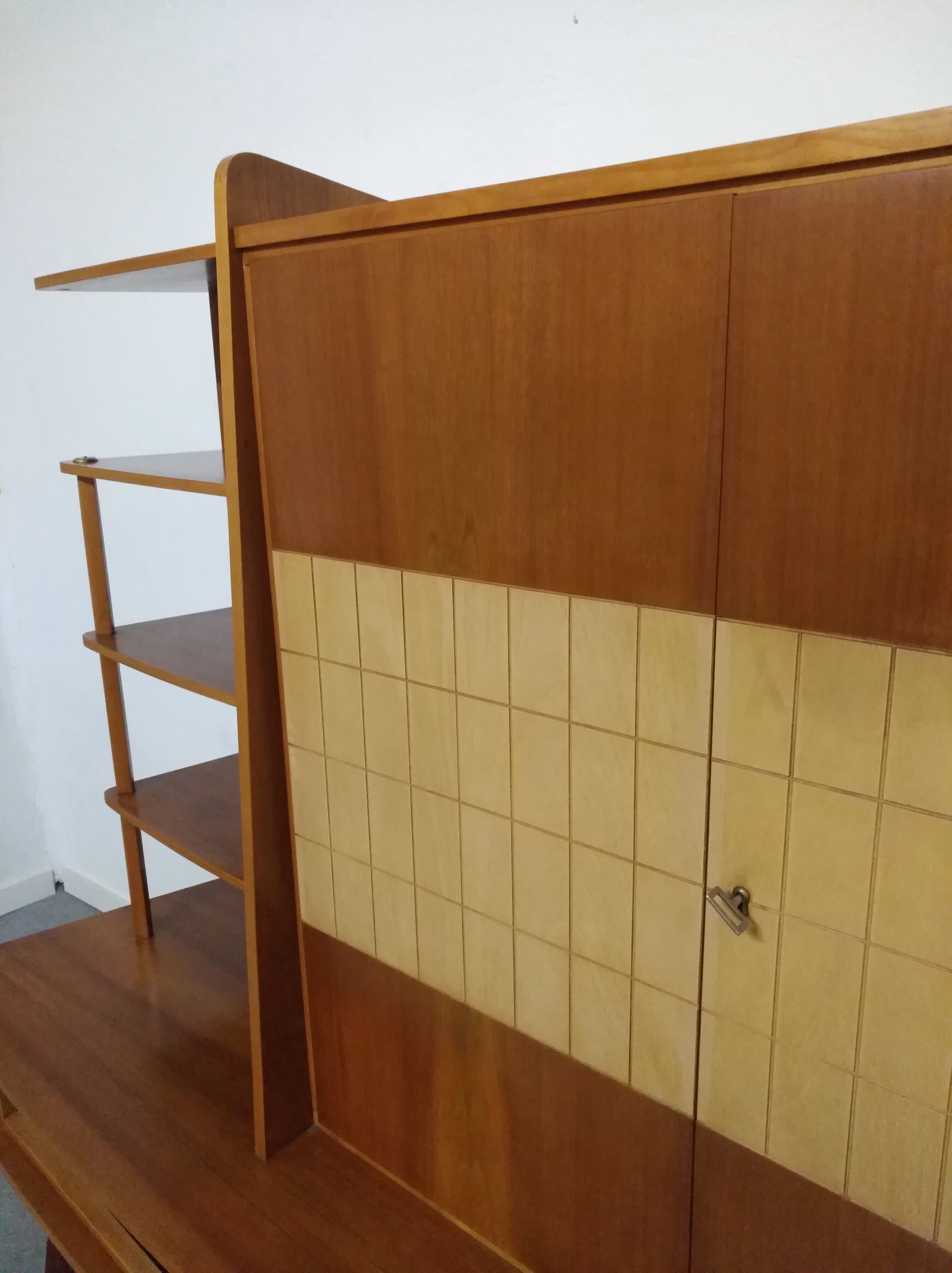 Furniture storage shelves library 50s