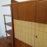 Furniture storage shelves library 50s