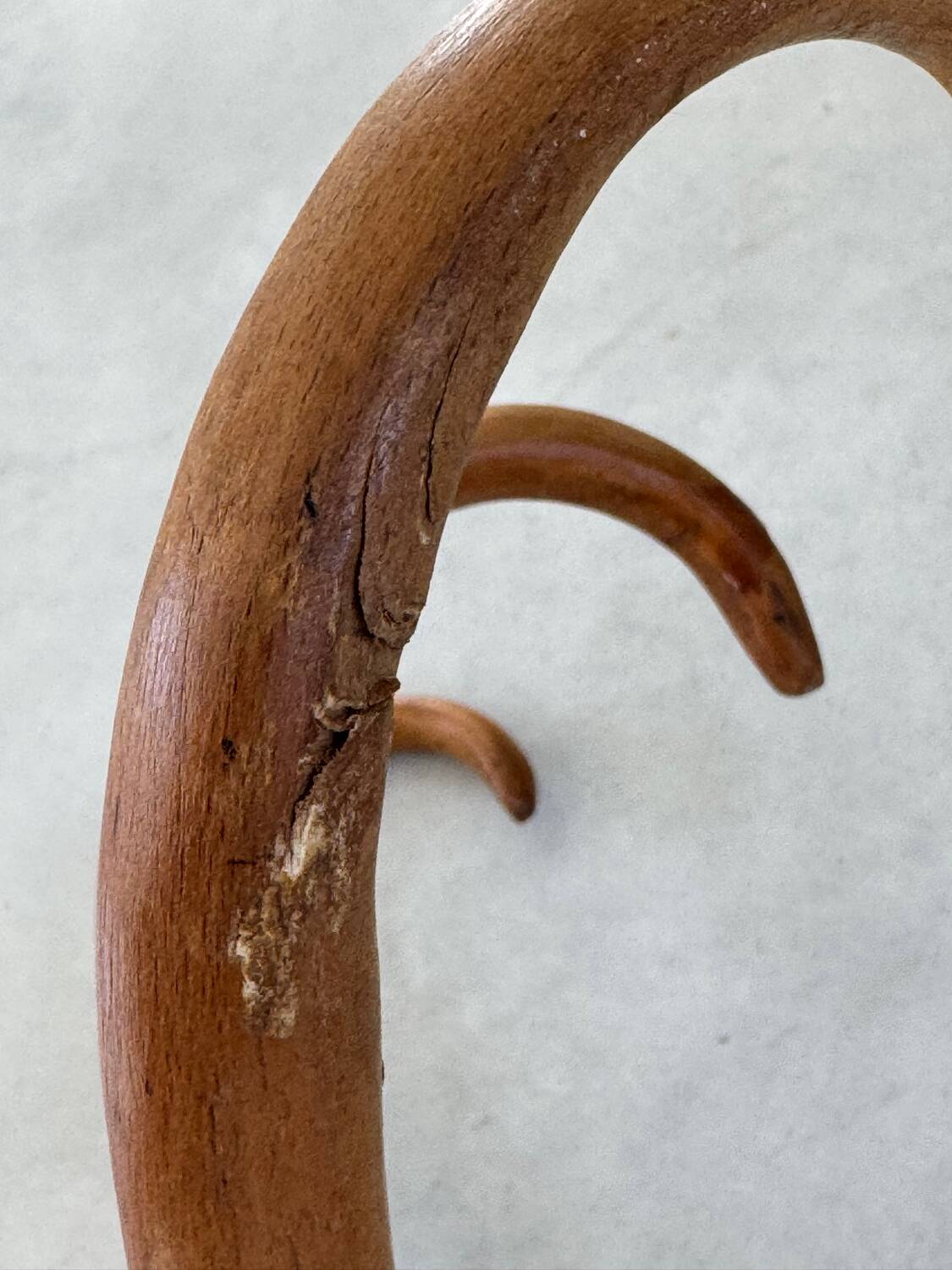 Pair of curved wooden coat racks or hooks from the 1900s
