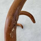 Pair of curved wooden coat racks or hooks from the 1900s