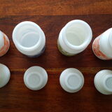 Ppaline conservation pots
