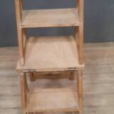 Stepladder chair