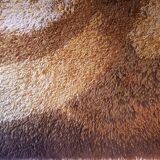 Tapis pop psyché, Pays-Bas 1970