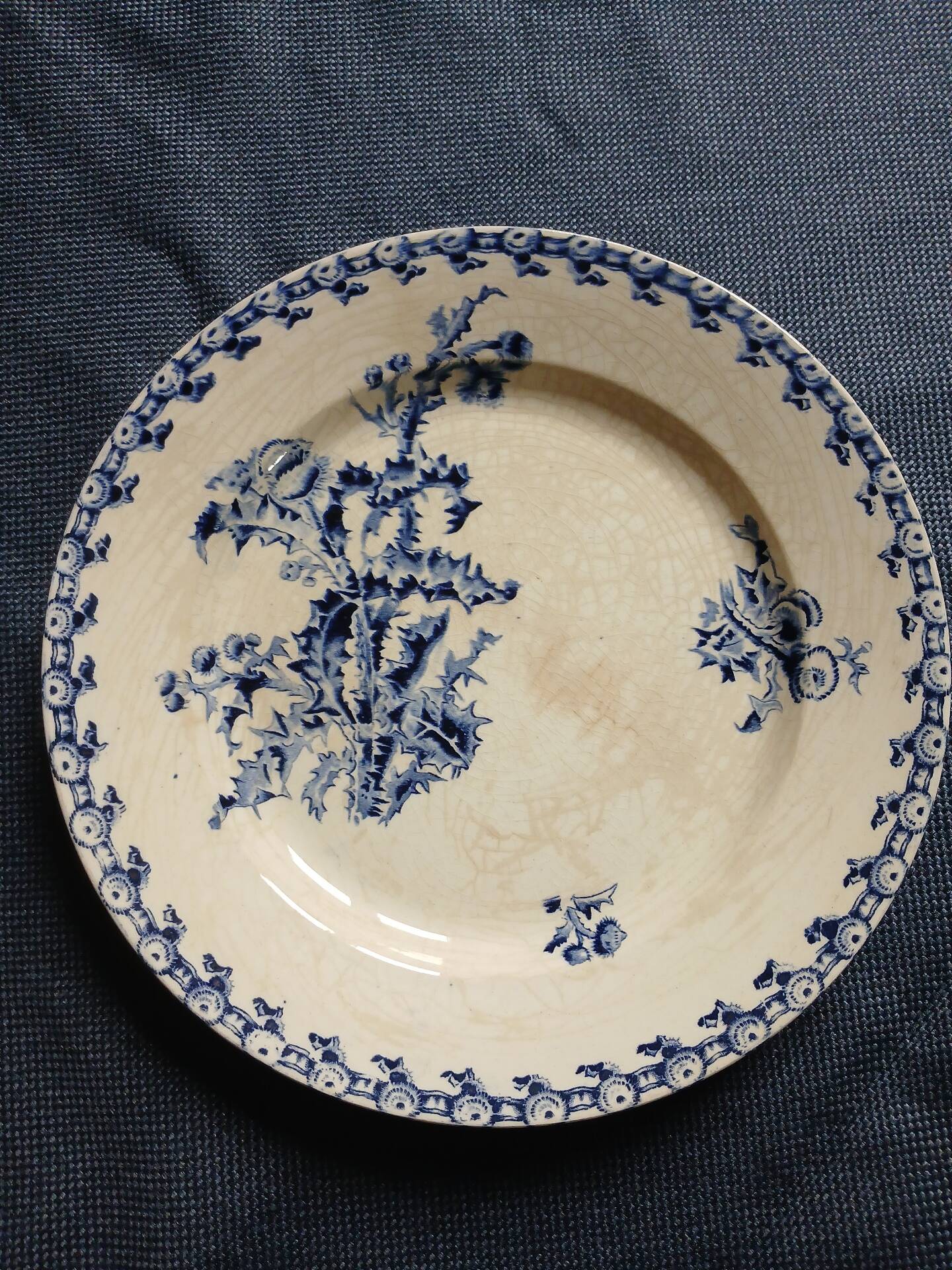 14 dinner plates + 2 "Chardons" dishes from Gien