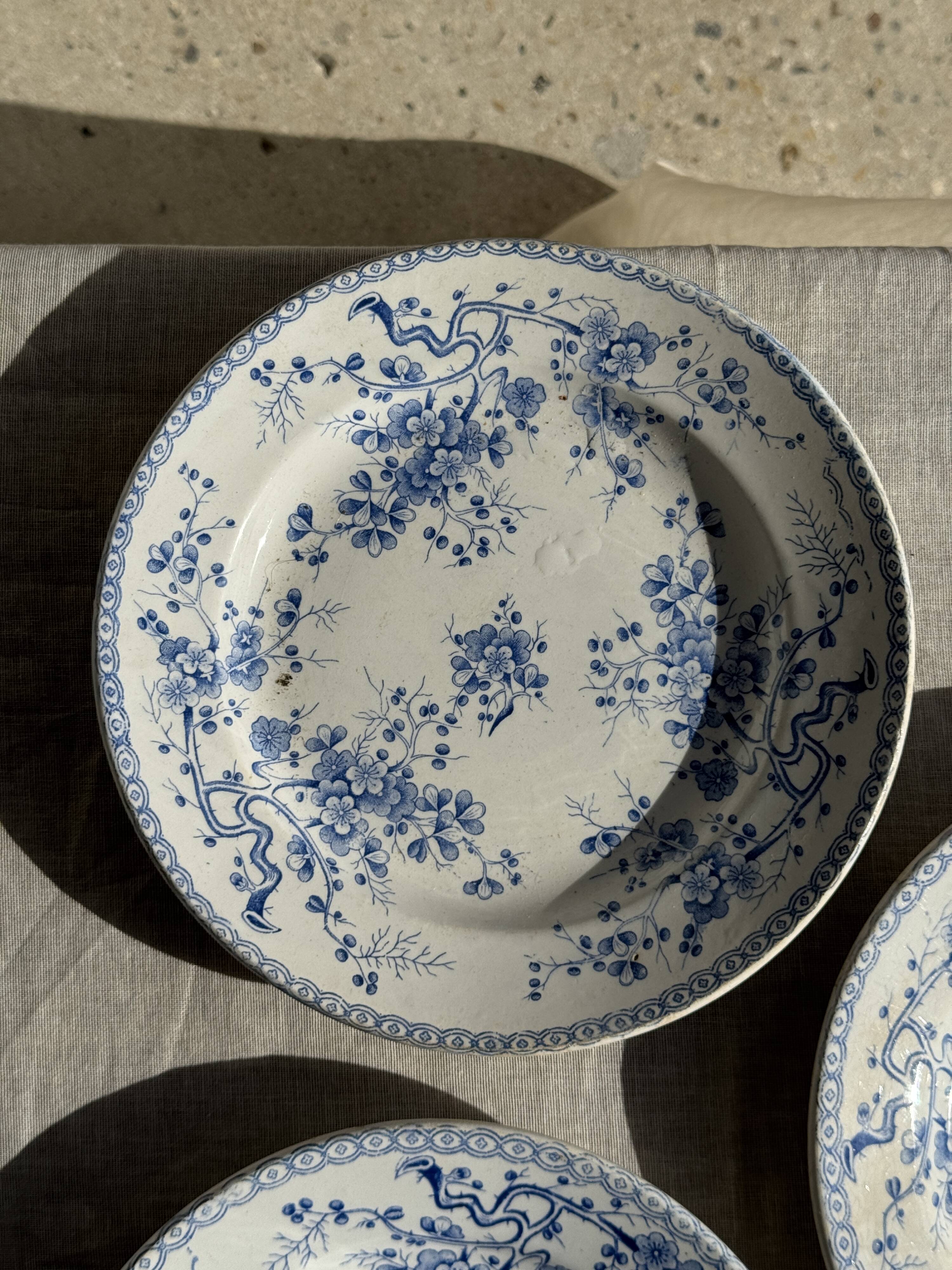 Set of 3 blue plates from Gien pottery, Fleurette model, D22.5.