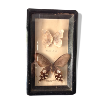 Butterfly frame