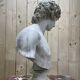 Buste D’Antinous dit Antinoüs Dicouen en plâtre modèle du Louvre