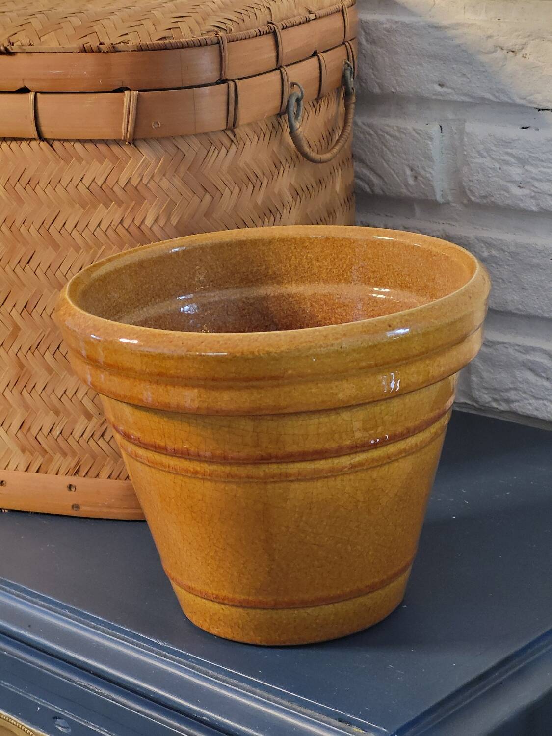 Mustard planter