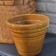 Mustard planter