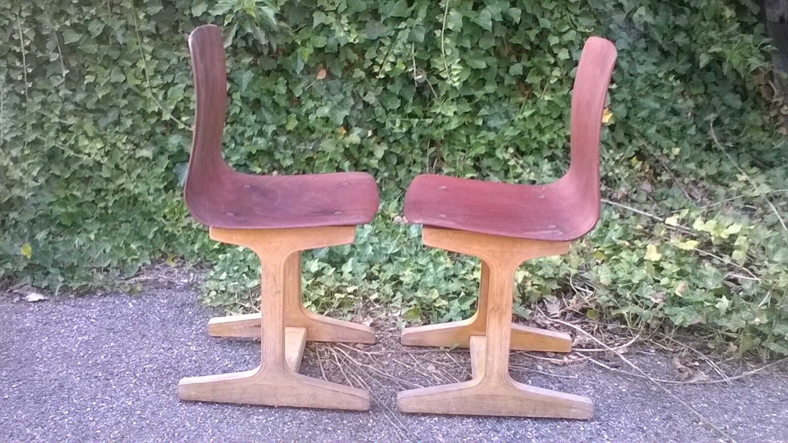Lot of 2 vintage year 60 pagholz chairs