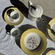 Lot de 19 grandes assiettes plates vintage jaunes fleurs roses liseré doré