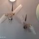 Set of 2 vintage 2-spoke wall lamps in gilded metal and diamond textured tulip glass