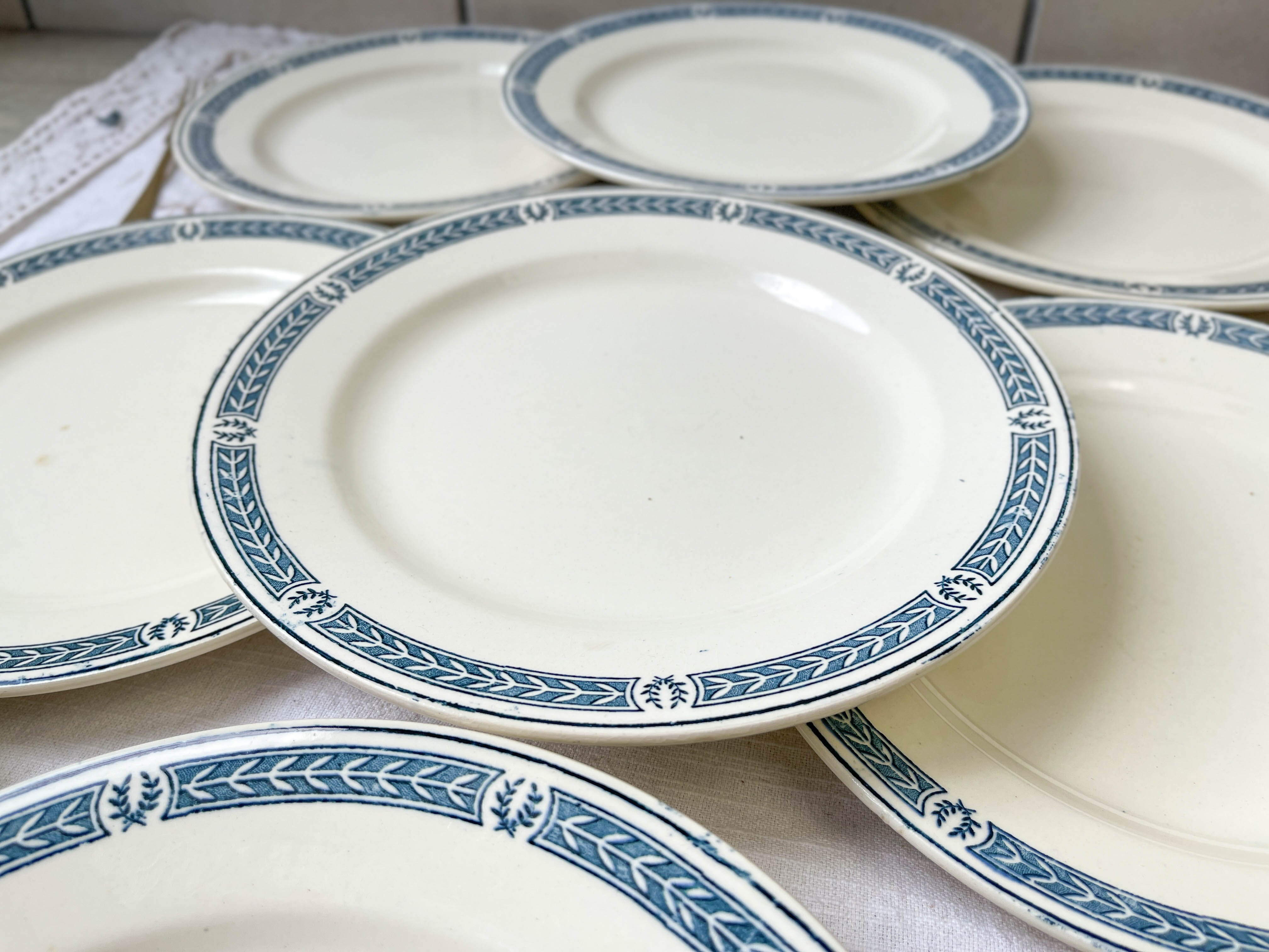 9 vintage flat plates iron earth salins model "castellane"