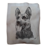 Pencil reproduction of a German Shepherd