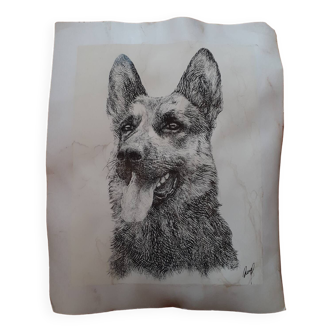 Pencil reproduction of a German Shepherd