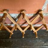 Vintage Wall-Mounted Extendable Coat Rack x10 Wooden Hooks