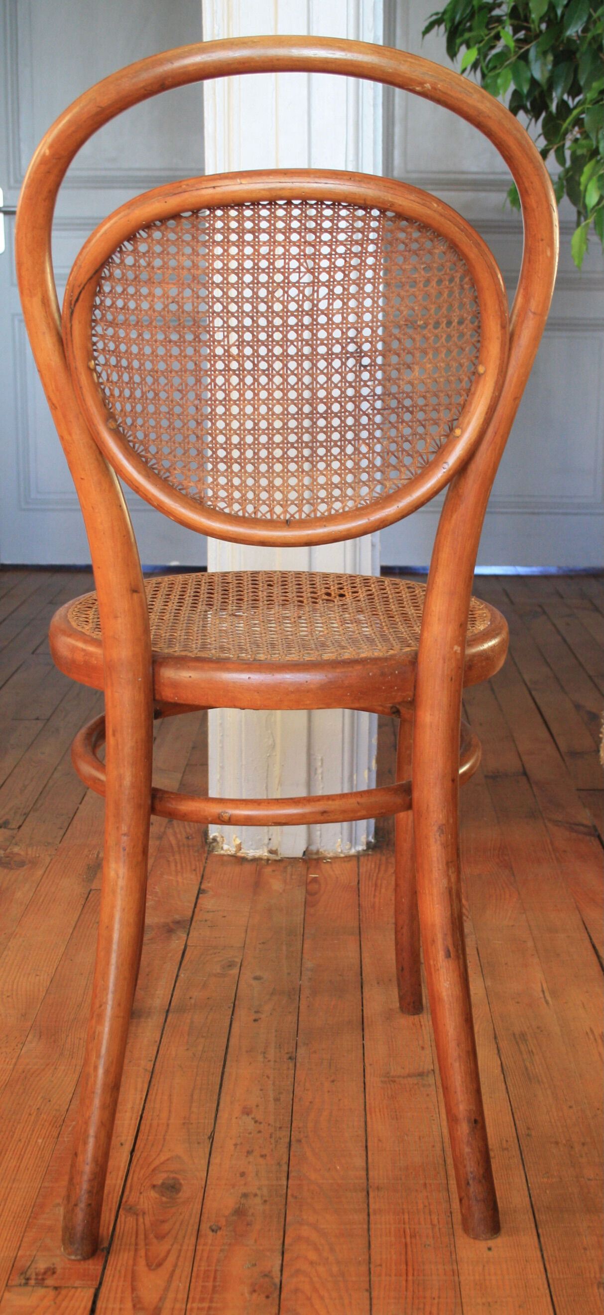 Chaise Thonet N°15 cannée