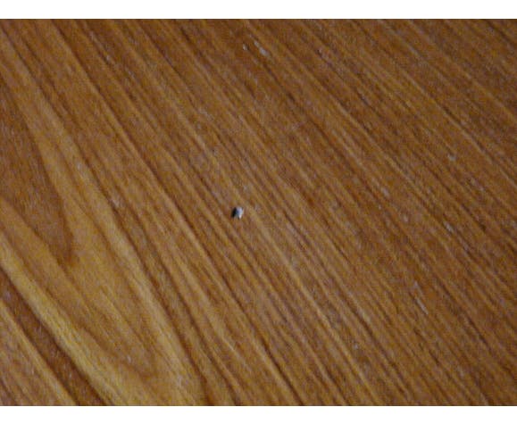 Scandinavian extendable oval table in G Plan teak