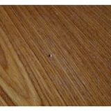Scandinavian extendable oval table in G Plan teak