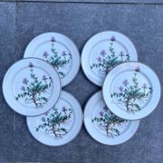 Lot de 6 assiettes à dessert "Thymus" BOCH Botanica