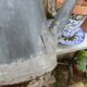 Old small zinc watering can