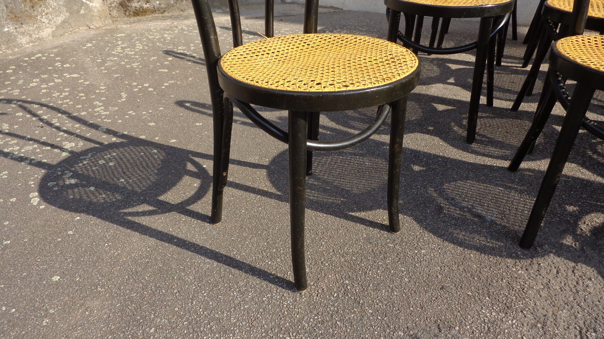 Set of 20 curved wooden chairs