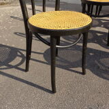 Set of 20 curved wooden chairs