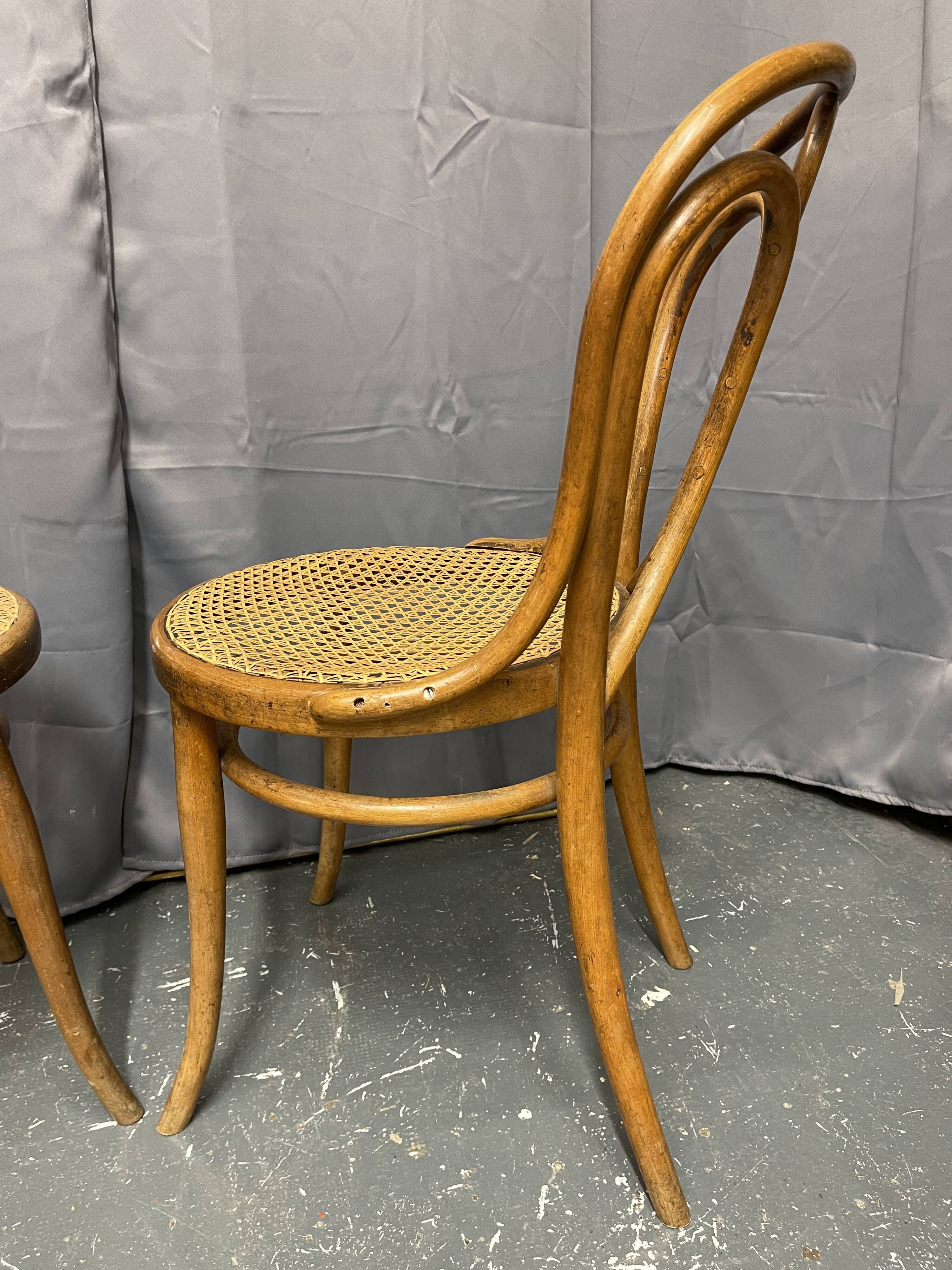 Paire de chaises Thonet n 19 estampillées thonet
