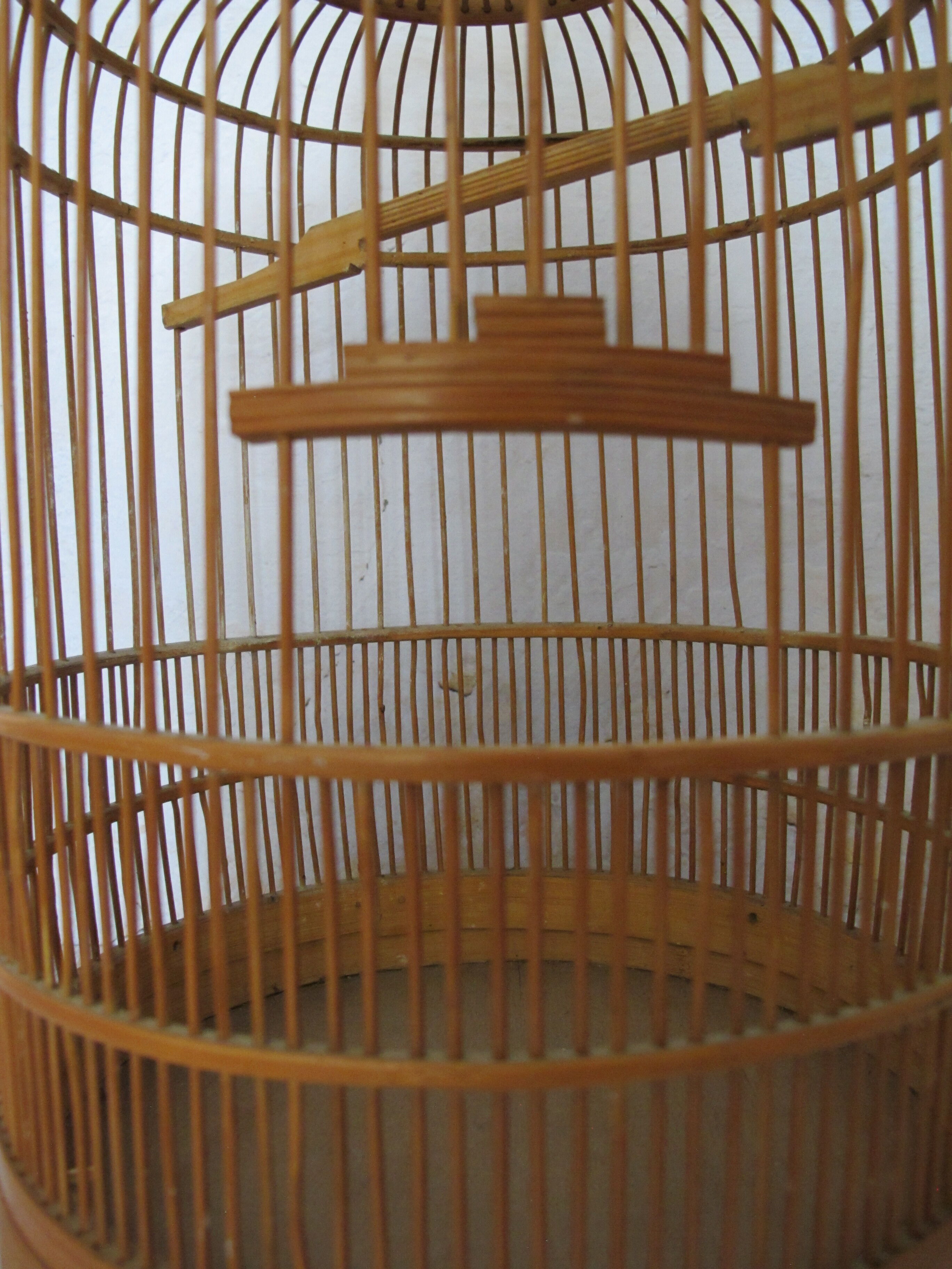 Ancient bird cage