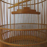 Cage à oiseaux