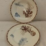 Marine decoration service in earthenware from Choisy-le-Roi