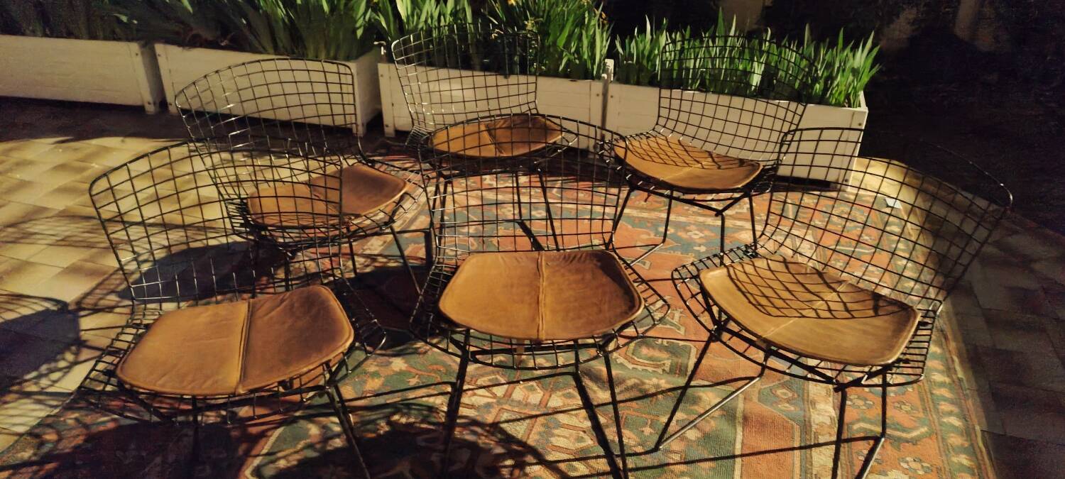 6 chaises Wire Harry Bertoia noires