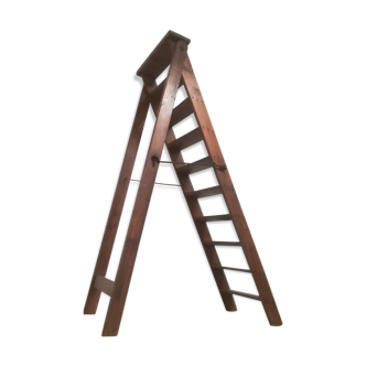 Oak stepladder in clear pine wood