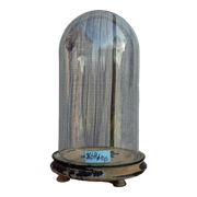 Antique round glass bell 26.5 cm high bridal globe