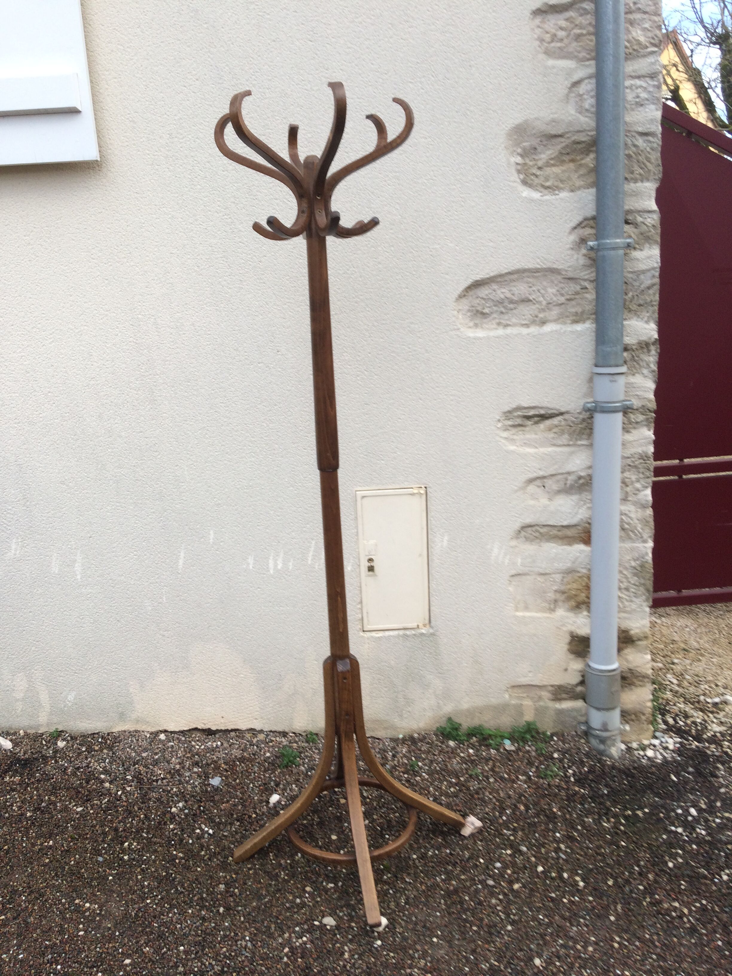 Baumann parrot coat holder