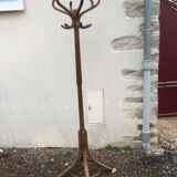 Baumann parrot coat holder