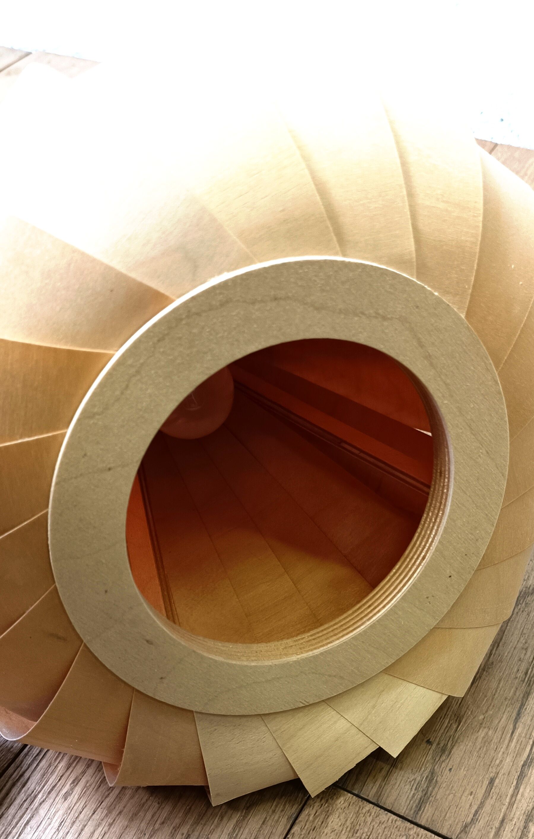 Suspension TR12, Birch Natural by Tom Rossau