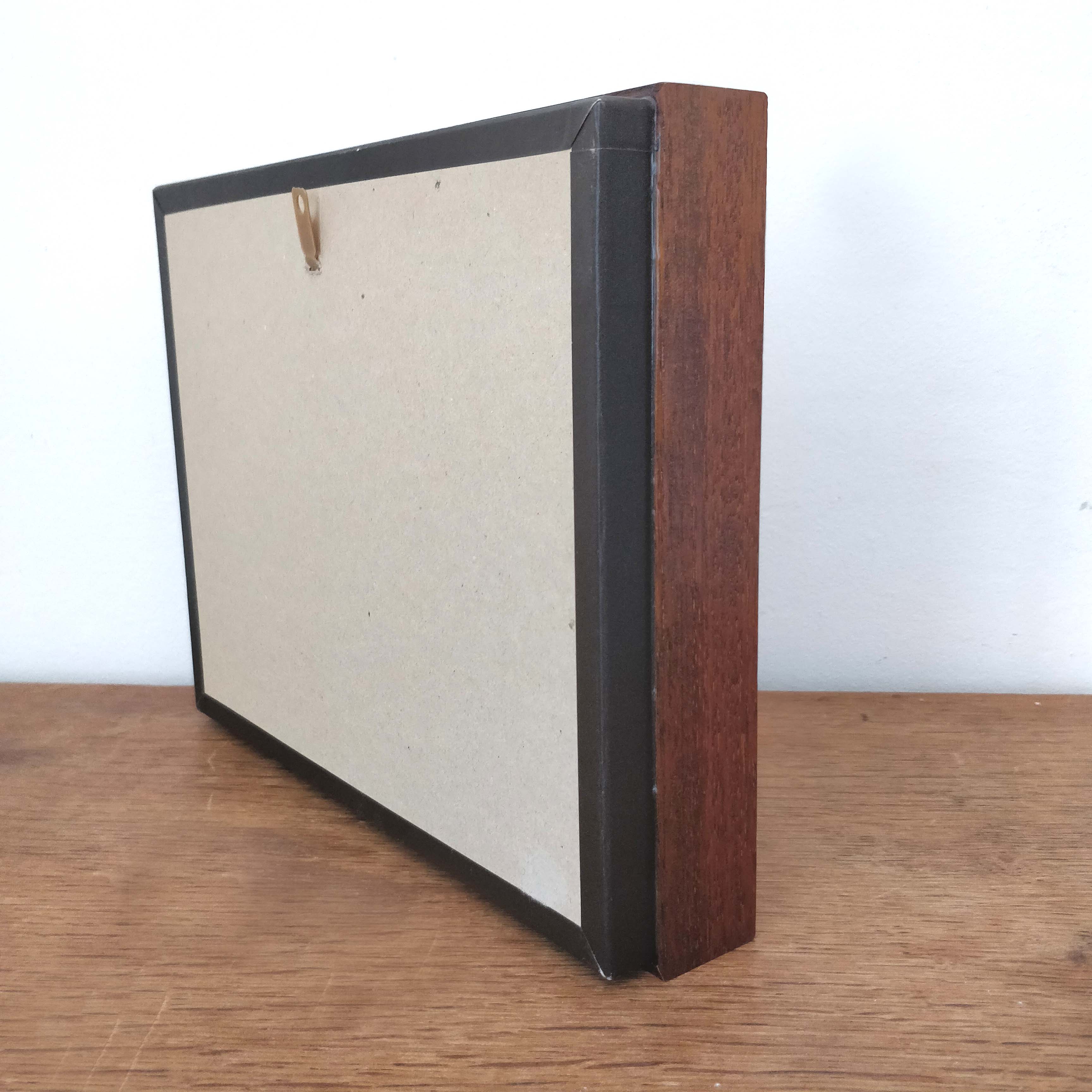 African insect frame under glass 30x24cm