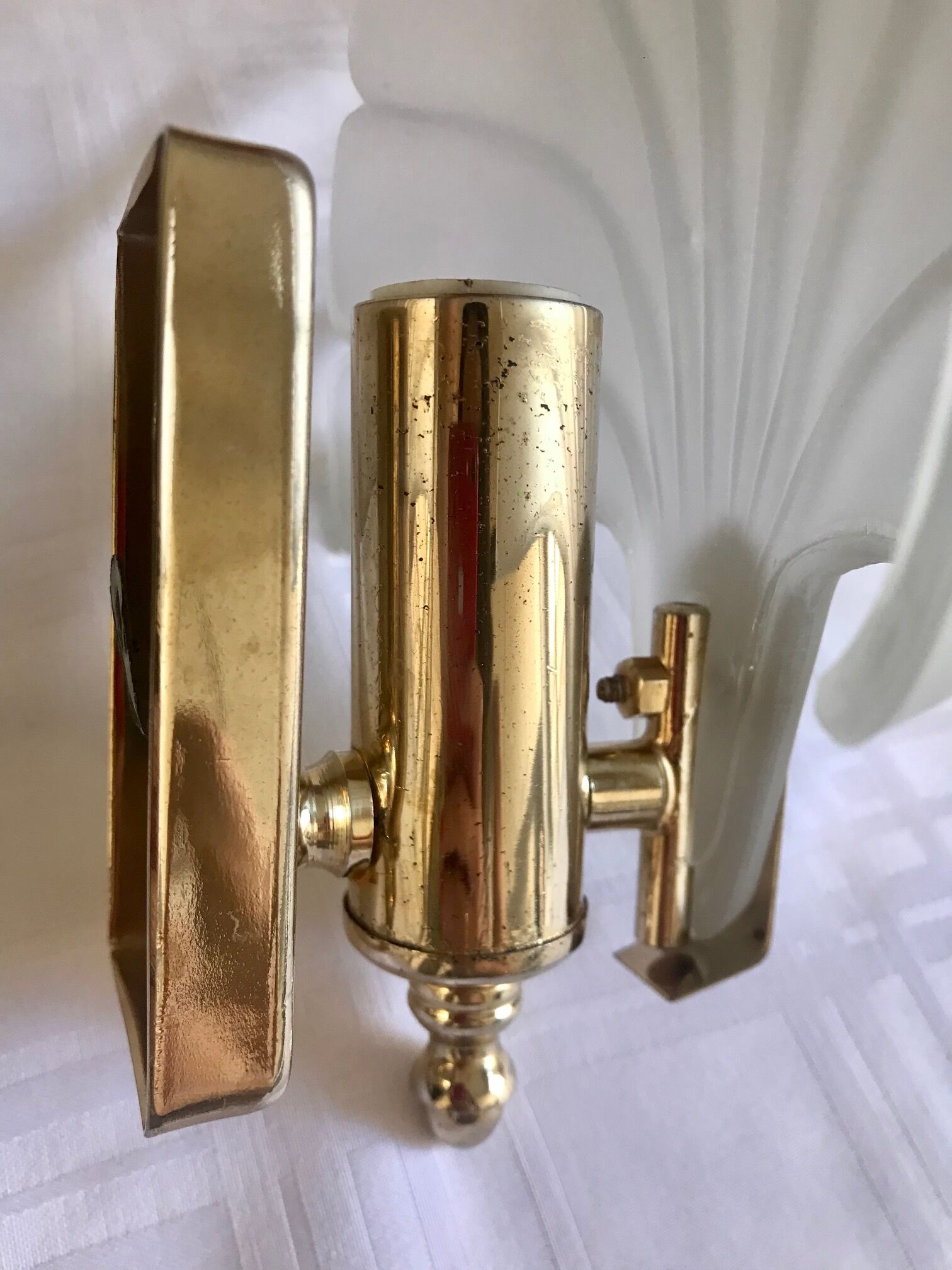 Pair of shell sconces