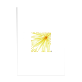 Original sky illustration no.58